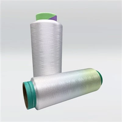 PBT PET Function Polyester Yarn for T-short