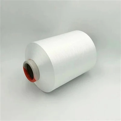 PBT Polyester Yarn for Underwear